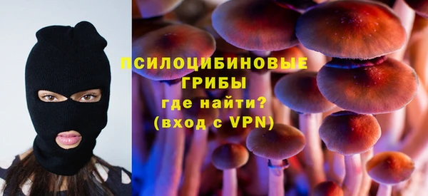 хмурый Абаза