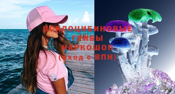 хмурый Абаза