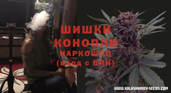 хмурый Абаза