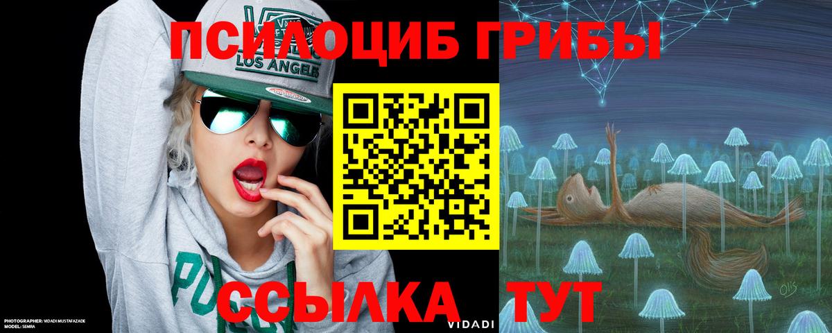 Псилоцибиновые грибы мицелий  закладки  Вход с VPN  Фрязино  Псилоцибиновые грибы GOLDEN TEACHER 