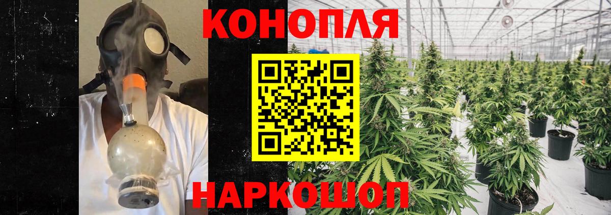 МАРИХУАНА сатива Фрязино